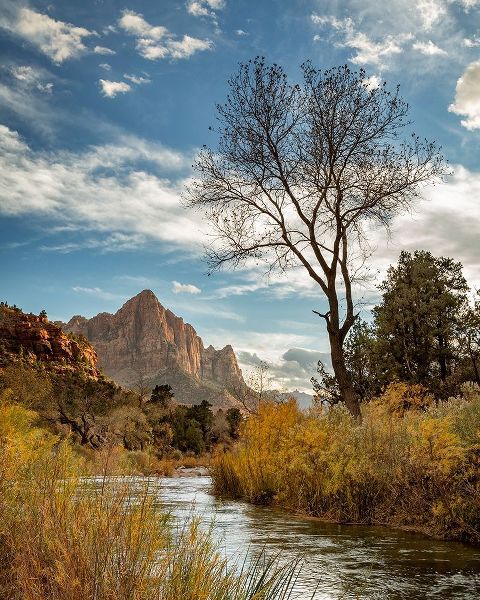 Utah-Zion National Park-Virgin River and The Watchman near sunset